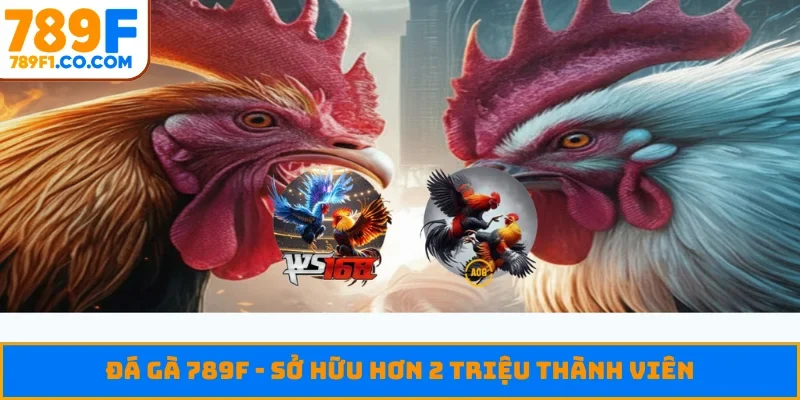 Đá gà 789F